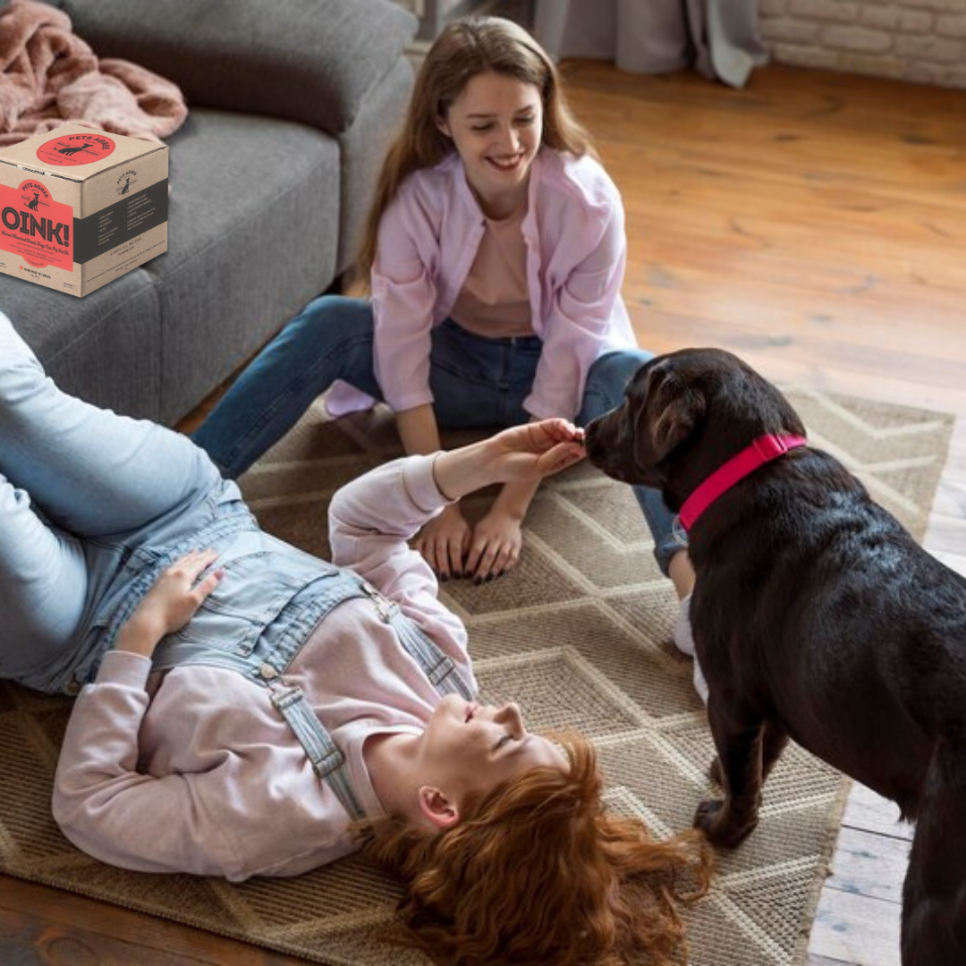 The Granville Island Pet Treatery (USA) - Wholesale Pet Treats - Dog - Bacon Large Dog Biscuits: Crunchy & Teeth Cleaning 2lb6