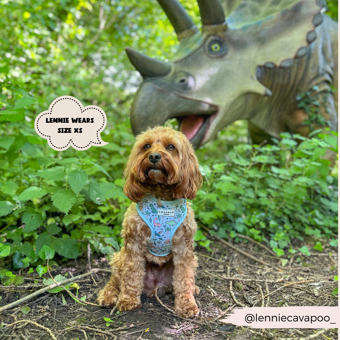 Cocopup London - Venta al por mayor Arnés - Perros - Arnés ajustable para cuello Dinopaws17