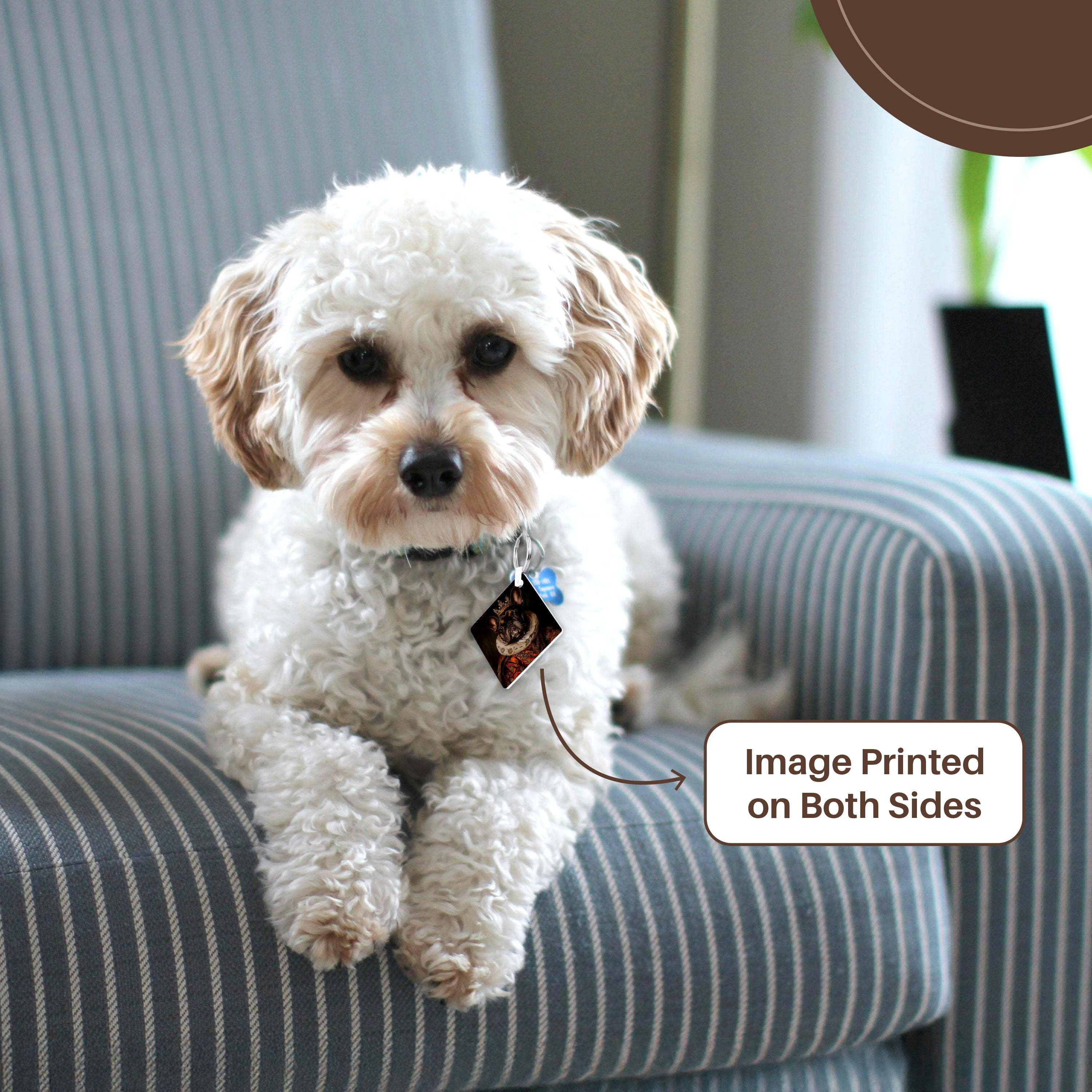 3dRose - Wholesale Sleutelhanger - Uniseks - 3dRose, Franse Bulldog Koninklijk Portret Hondenmajesteit, Sleutelhanger1