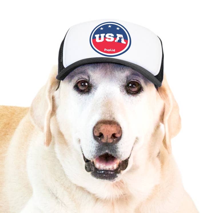 PupLid – wholesale Hatt - Hund – USA Stars Design l Truckerhatt för hundar41