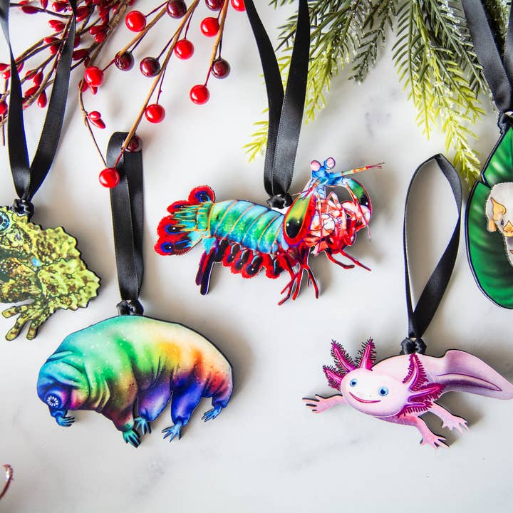 The Weird Ornament Collection #1, Christmas Ornaments for wholesale by The Slug And Kraken