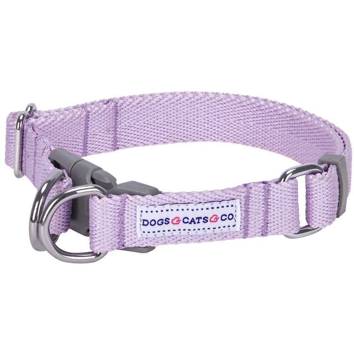 Blueberry Pet - Wholesale Pet collar – Dog - Best-Seller Double D-Ring Dog Collar -Must-Have for All Dogs41