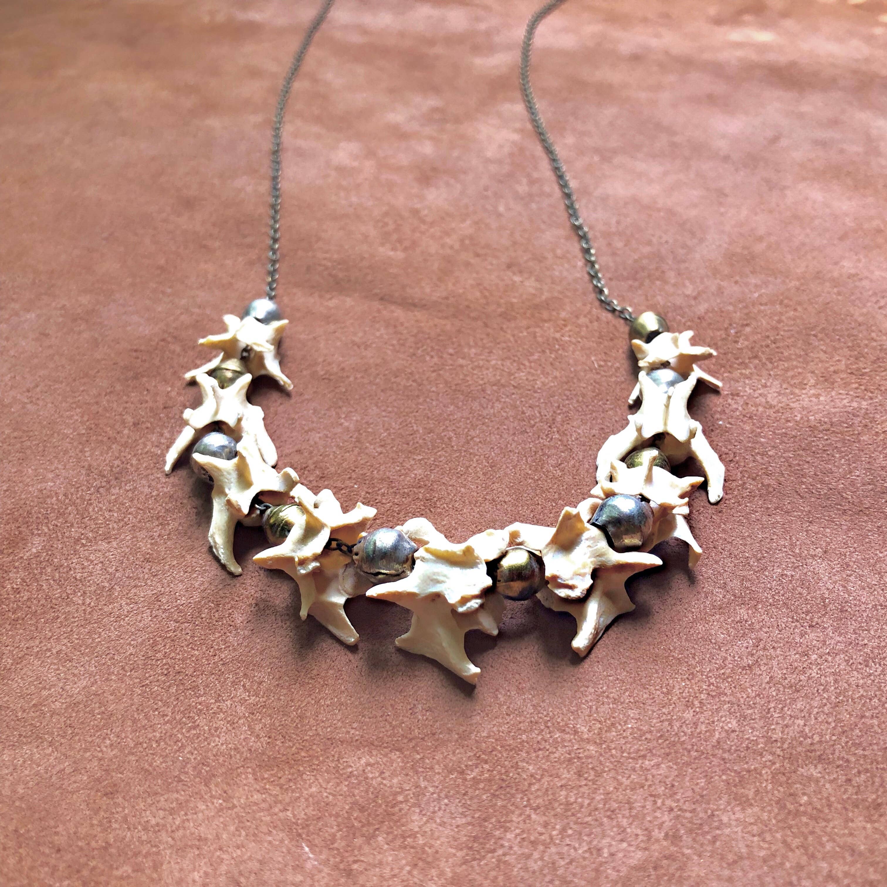 ASTALI - Wholesale Beaded/Pearl Necklace - Weasel Vertebrae Necklace, Real Bone Necklace, Taxidermy4