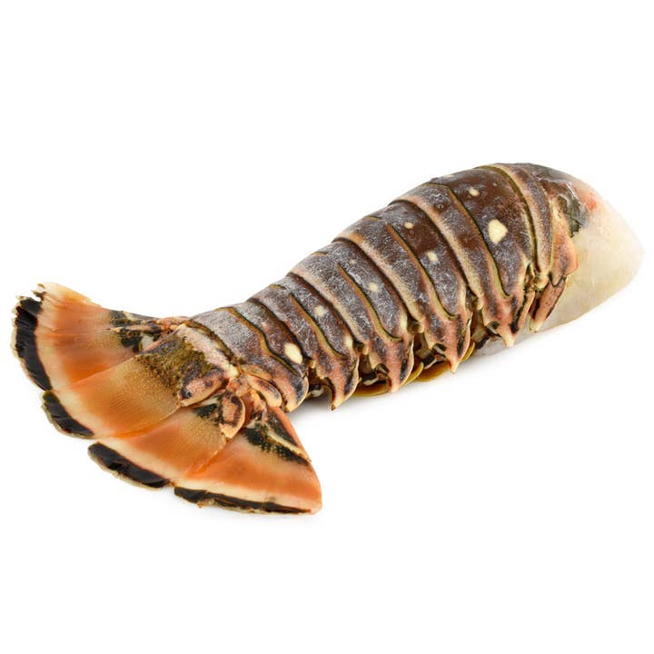 Cauda de Lagosta de Água Quente de 7oz por atacado de Onatru Foods