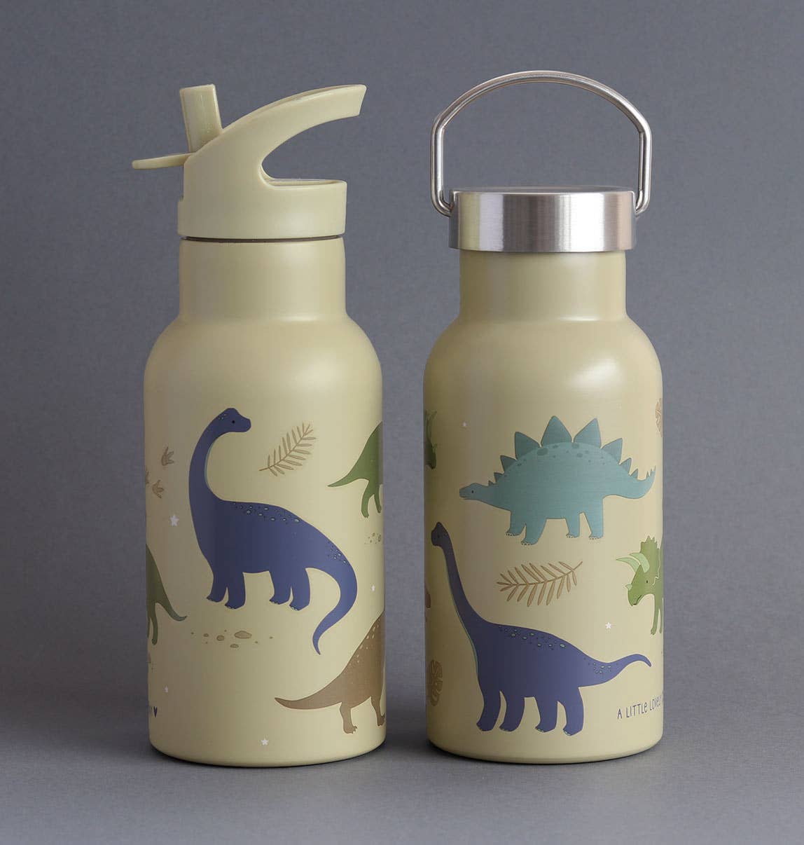 A Little Lovely Company - Wholesale Water Bottle - Kids stainless steel drink/water bottle: Dinosaurs5