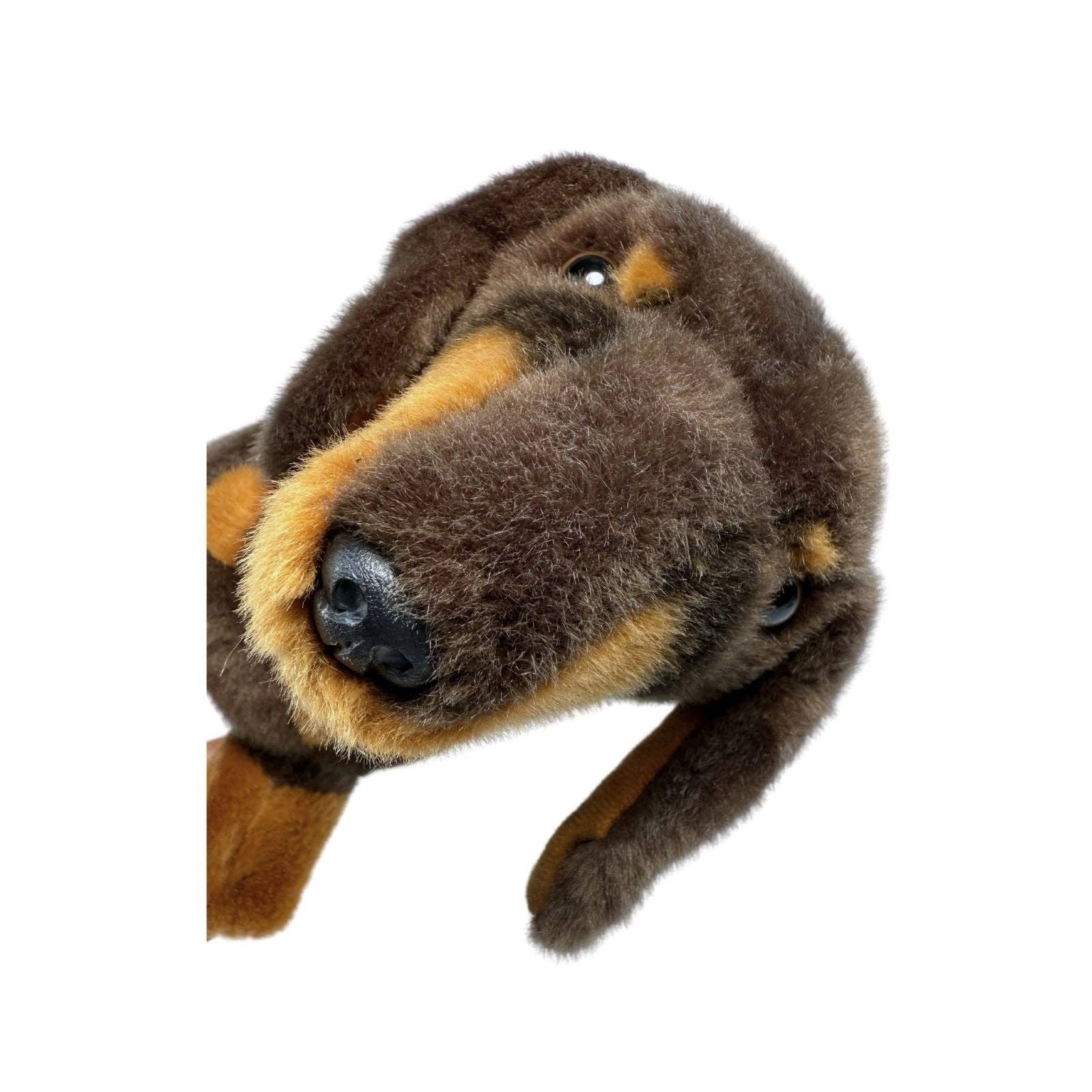 Bocchetta Plush Toys - Wholesale Pet plush toy – Dog - Stretch - Dachshund - 22cm standing8