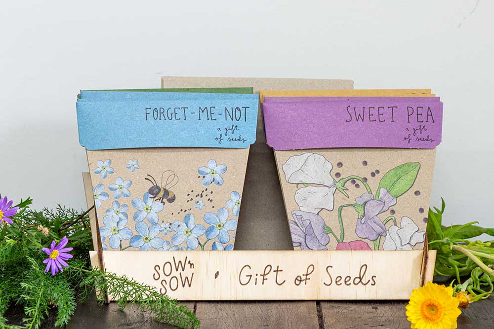 Sow 'n Sow - Wholesale Retailer Display - Home & Living - Gift of Seeds Counter Display Small2