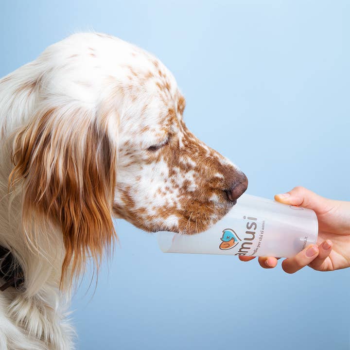 Pettech S.r.l. - Wholesale Measuring Cup - Kibble dispenser3