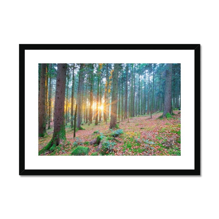 Zonondergaat in een bos Ingelijste en gemonteerde print voor wholesale door Sorbey