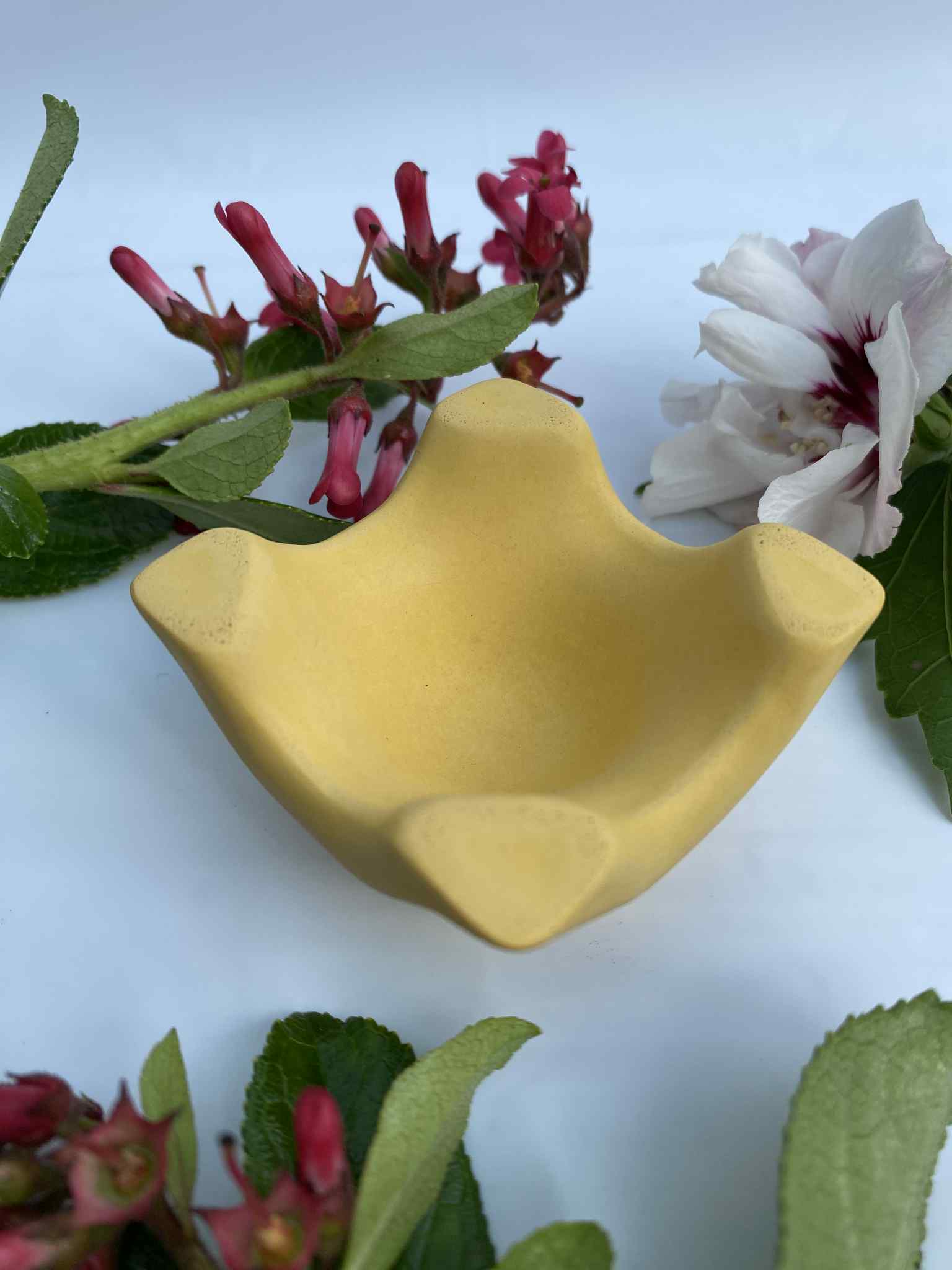 Little Lottie’s - Wholesale Egg cup/holder - Yellow Egg Cup – Colourful Breakfast Tableware4
