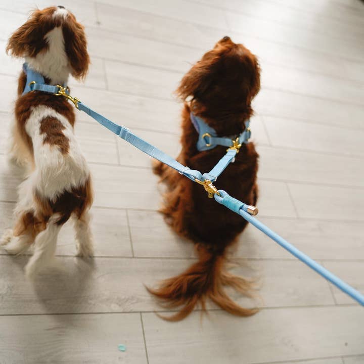 Cavology - Wholesale Pet Leash - Dog - DOG LEASH COUPLER SPLITTER MULTI DOG ATTACHMENT PASTEL COLOR2