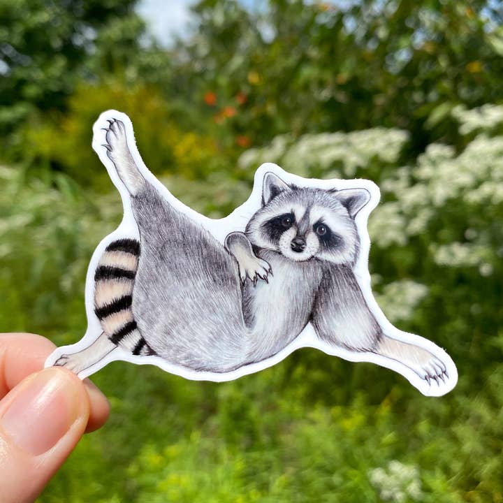 Adesivo in vinile resistente alle intemperie Lounging Raccoon per la vendita all'ingrosso da parte di Allison Stoiser Art