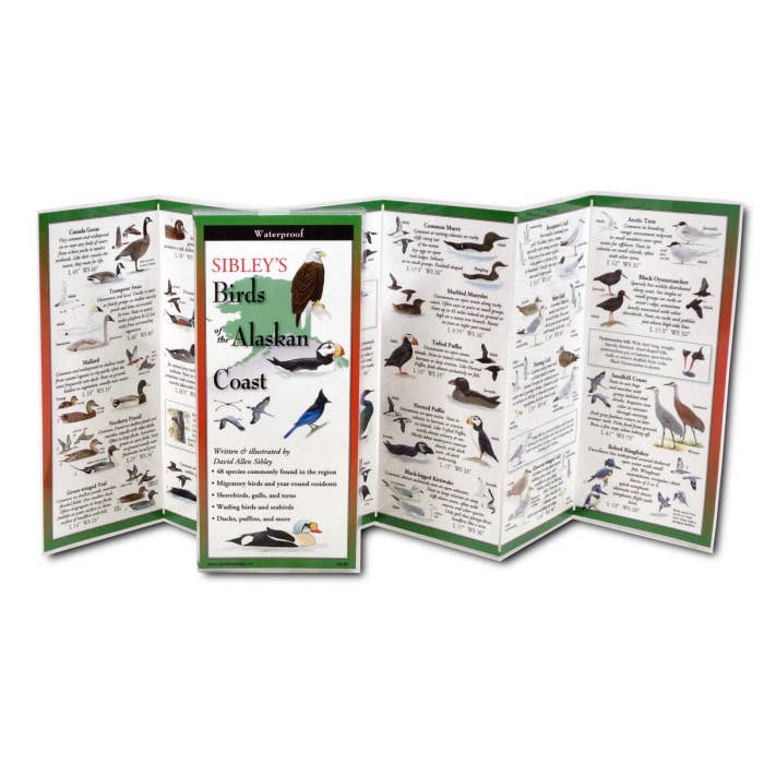 Earth Sky + Water - Wholesale Nature & Outdoors - Sibley's Birds of the Alaskan Coast1