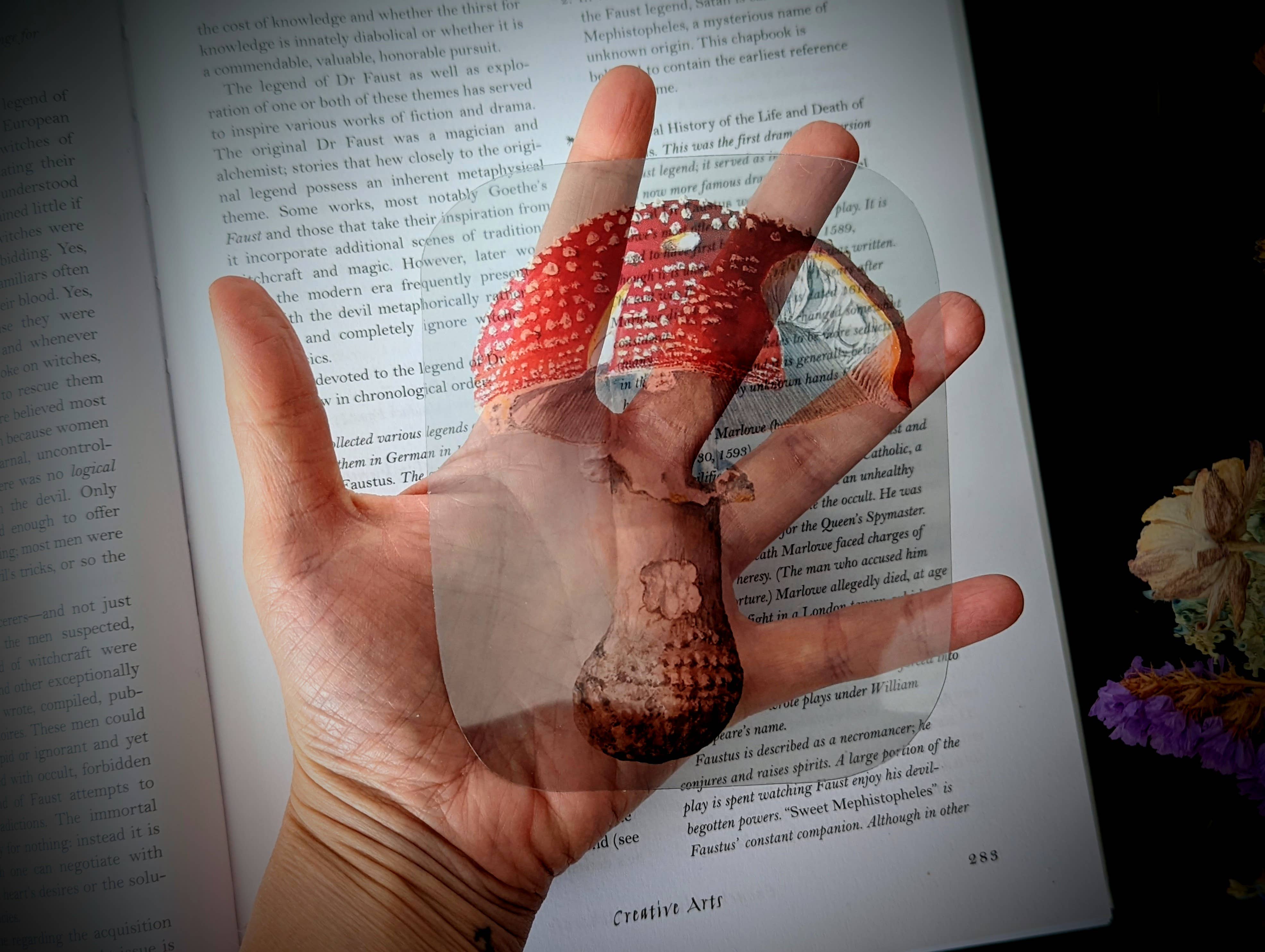 Dark Veinlet - Venta al por mayor Marcapáginas - Marcador transparente - Hongo agárico de mosca Amanita Muscaria2