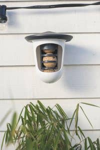 SingingFriend - Wholesale Bird feeder - Hello Multi plastic bird feeder0