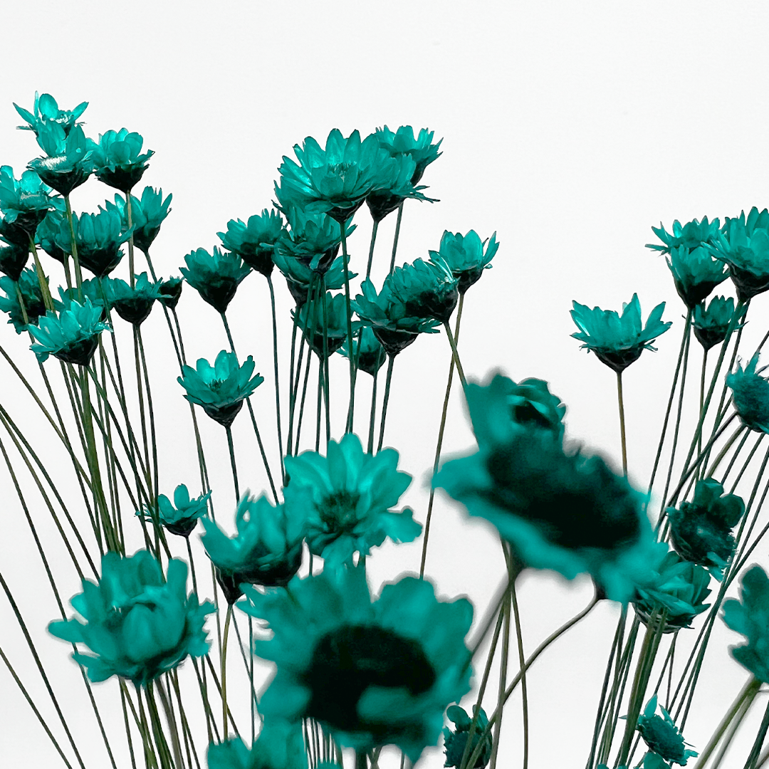 2626 Designs - Vendita all'ingrosso Fiori finti - Fiore Piccola Stella Preservato, 40-50 cm di lunghezza32