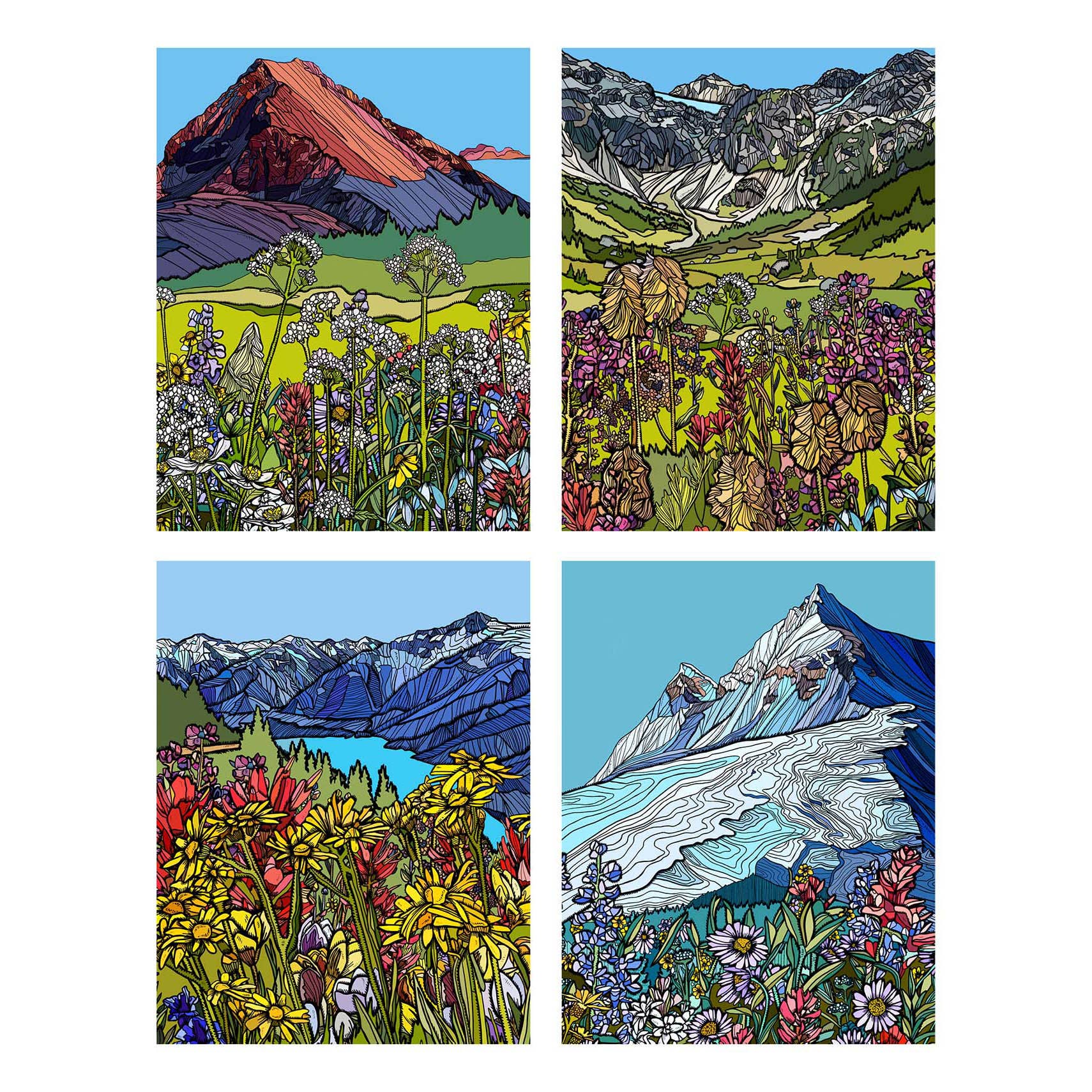 Waterknot - Vente Assortiments de papeterie/cartes - Coffret de cartes Alpine Wildflowers1