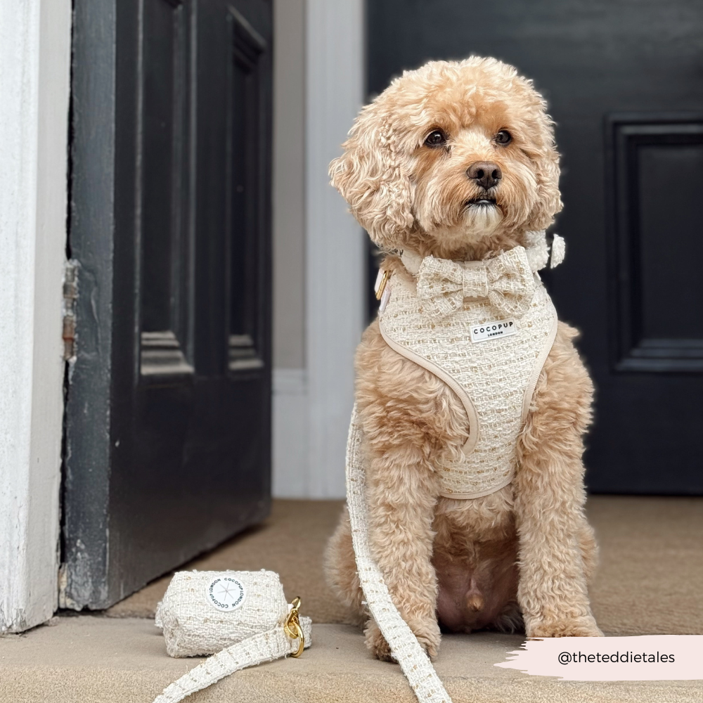 Cocopup London - Wholesale Tuig voor huisdieren - Hond - Vanillekleurig Getextureerd Tweed Verstelbaar NekHARNAS14