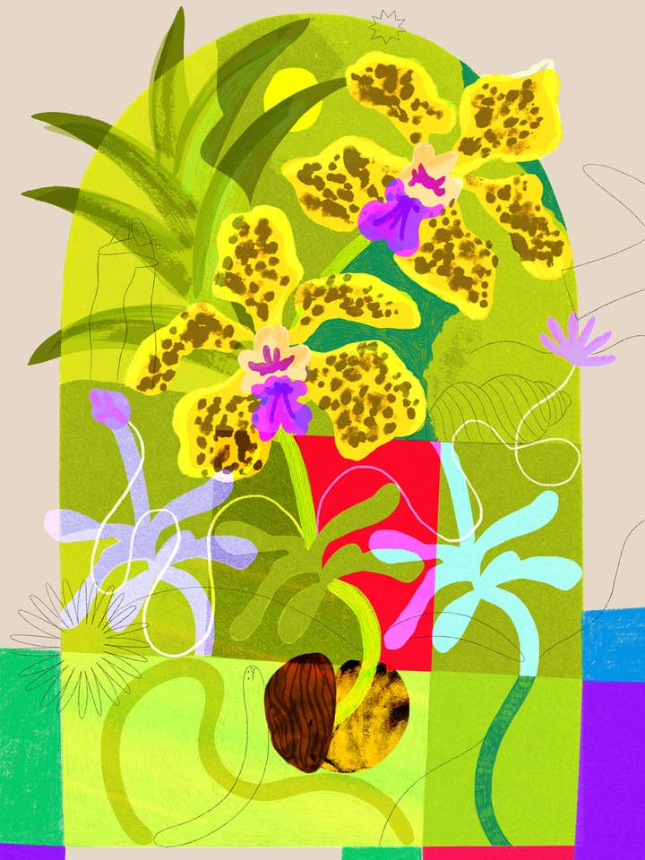 FLOWER 1 - Seeds Of Ideas To Come Giclée Print for wholesale by Lucy Sherston