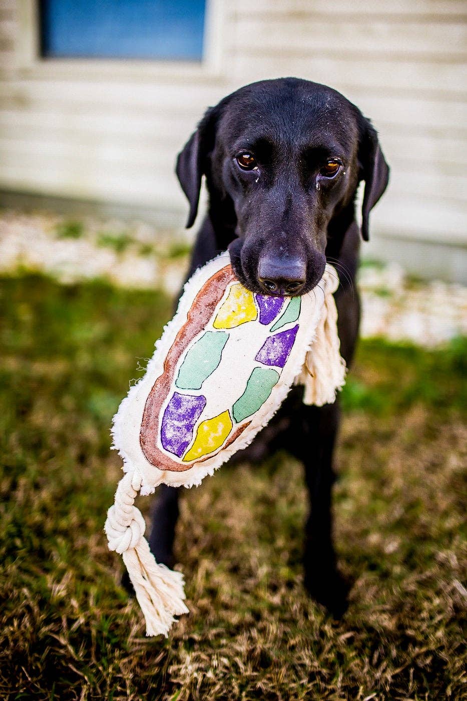 Nola Tawk – wholesale Pet rope toy – Dog – King Cake Pet Toy