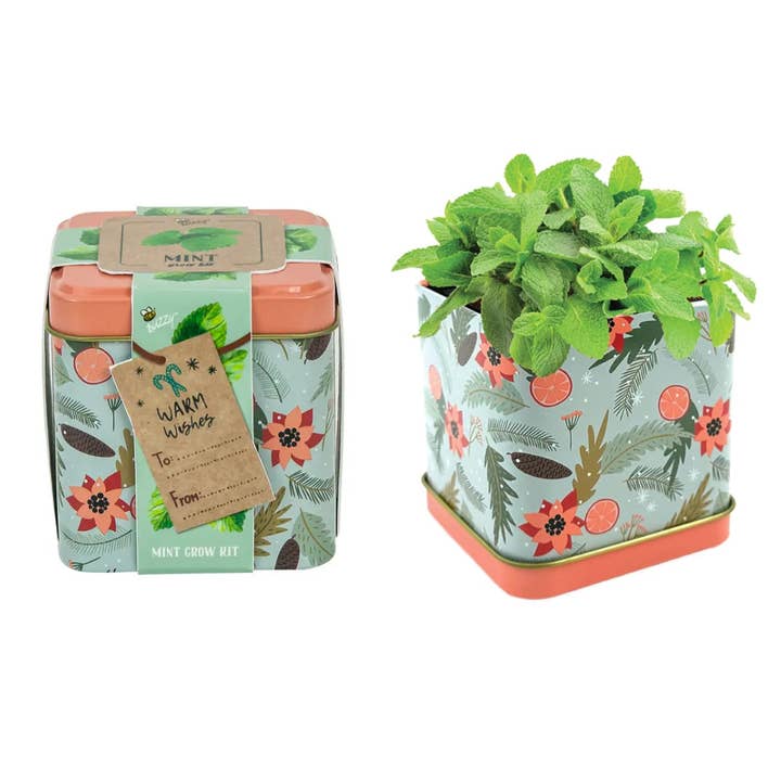 Buzzy, Inc. - Wholesale Plant Seeds - Buzzy Seeds Holiday Square Tin - Mint