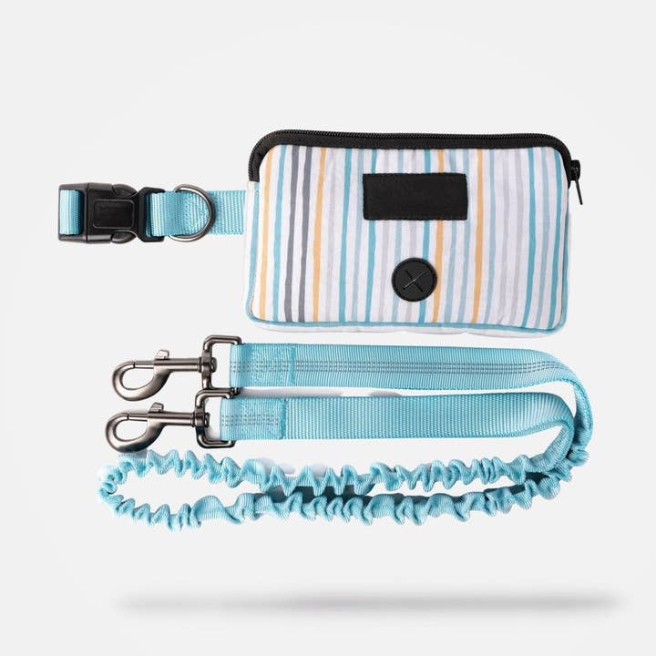 Stripe Blue Hands Free Dog Leash for wholesale by Silver Paw