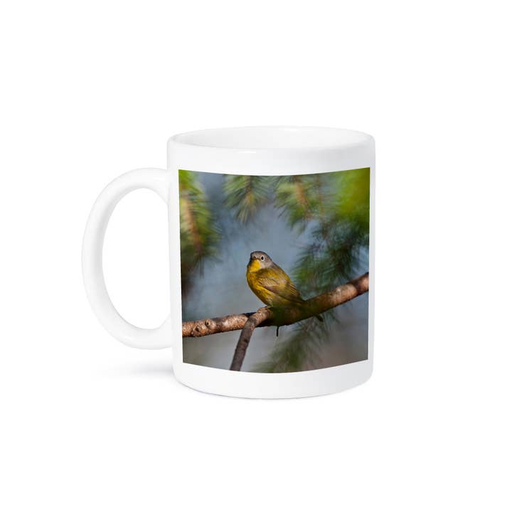 3dRose - Wholesale Coffee Mug - 3dRose, USA, Minnesota, Mendota Heights, Mohican Lane, Nashville Warbler, Mug8