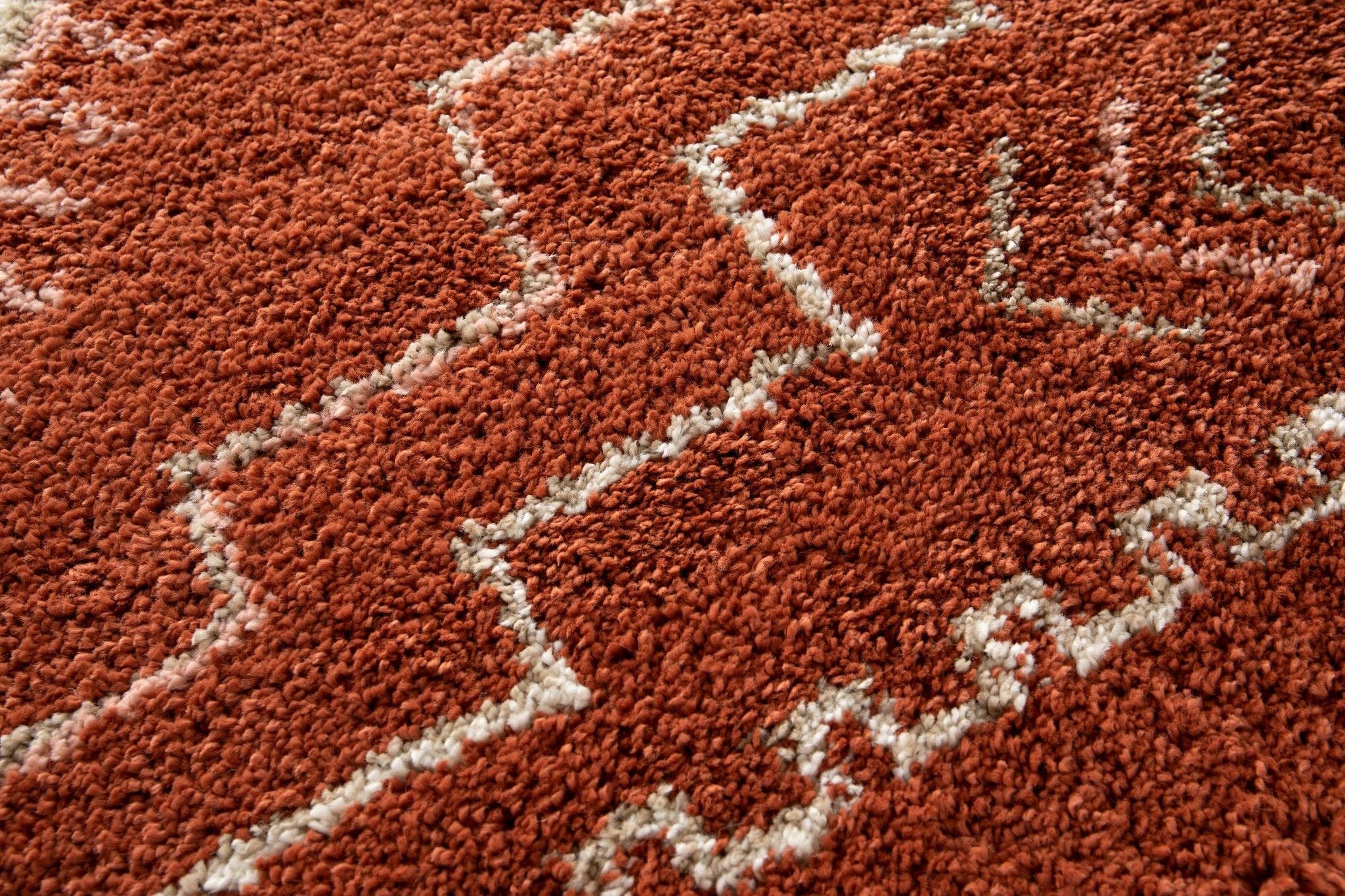 AFK Living - Wholesale Area Rug - SIERRA soft and voluminous designer shaggy rug5