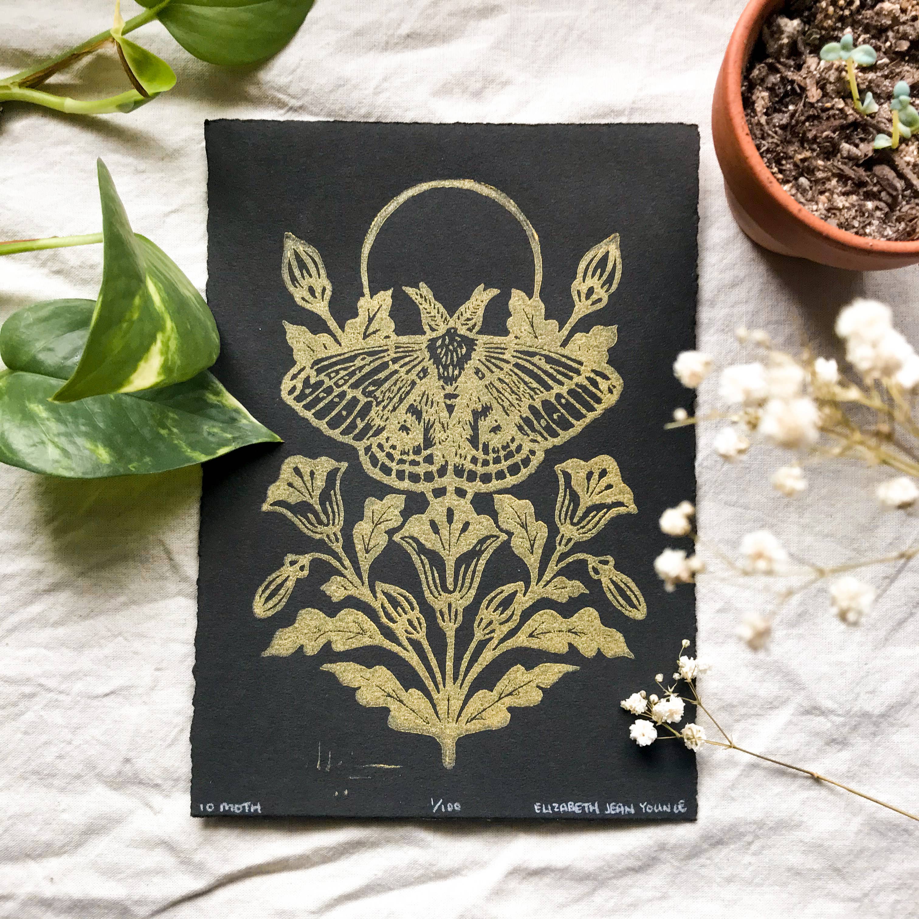 Mustard Beetle - Wholesale Art Print - IO Moth & Poppies Handprinted Linocut on Handmade Paper 5x7"11