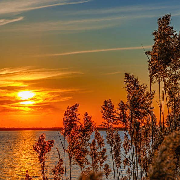 Stampa d'Arte Tramonti sul Lago del Texas TLS170 per la vendita all'ingrosso da parte di Breaking Rules Photography