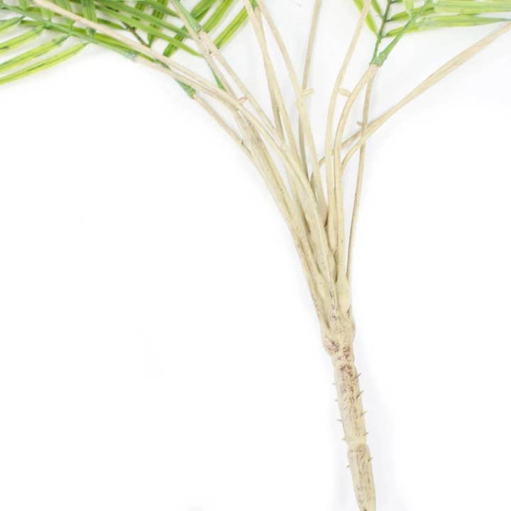 Angel Isabella - Wholesale Artificial plant - 31"-15 Large Leaves Artificial Lifelike Palm Bush 5