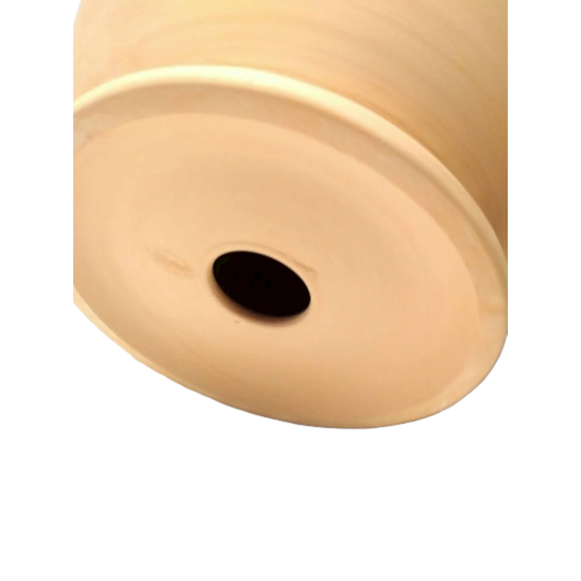 Caterina - Wholesale Money/Piggy Bank - Caterina Money Pot, Piggy Bank, Coin Bank for kid and adult6