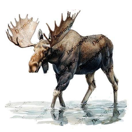 Decoricepaper - Wholesale Craft Supplies - S003 - Mini Rice Paper Set5