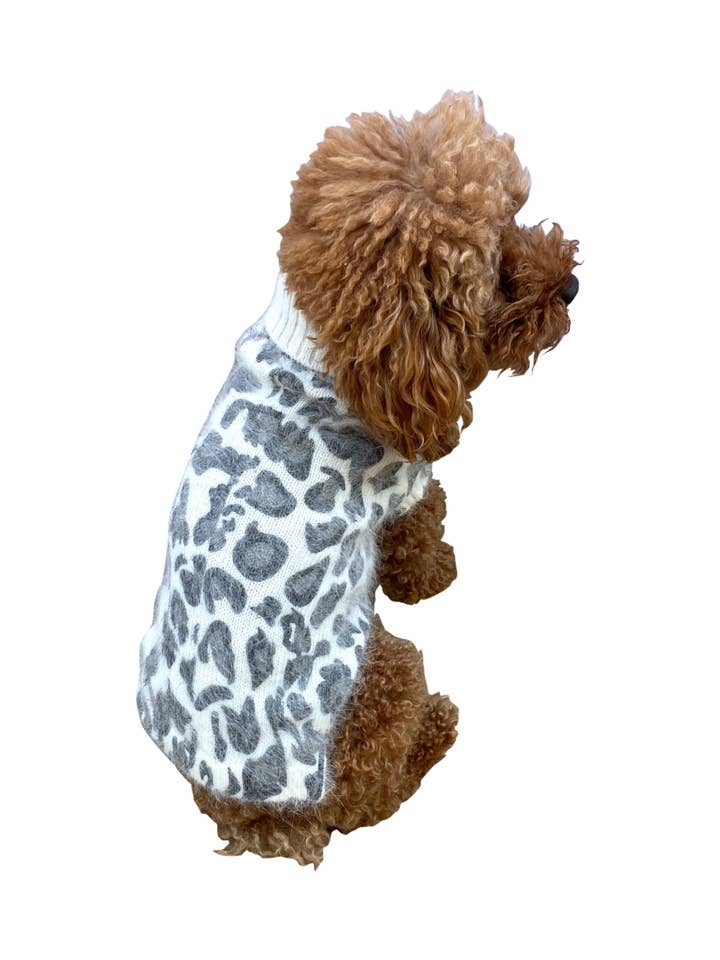 Superstar Leopard Grey on Ivory - Dog Pet Sweater for wholesale by The Dog Squad