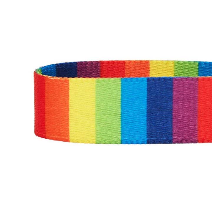 Blueberry Pet - Wholesale Pet collar – Dog - The Perfect Rainbow Dog Collar3
