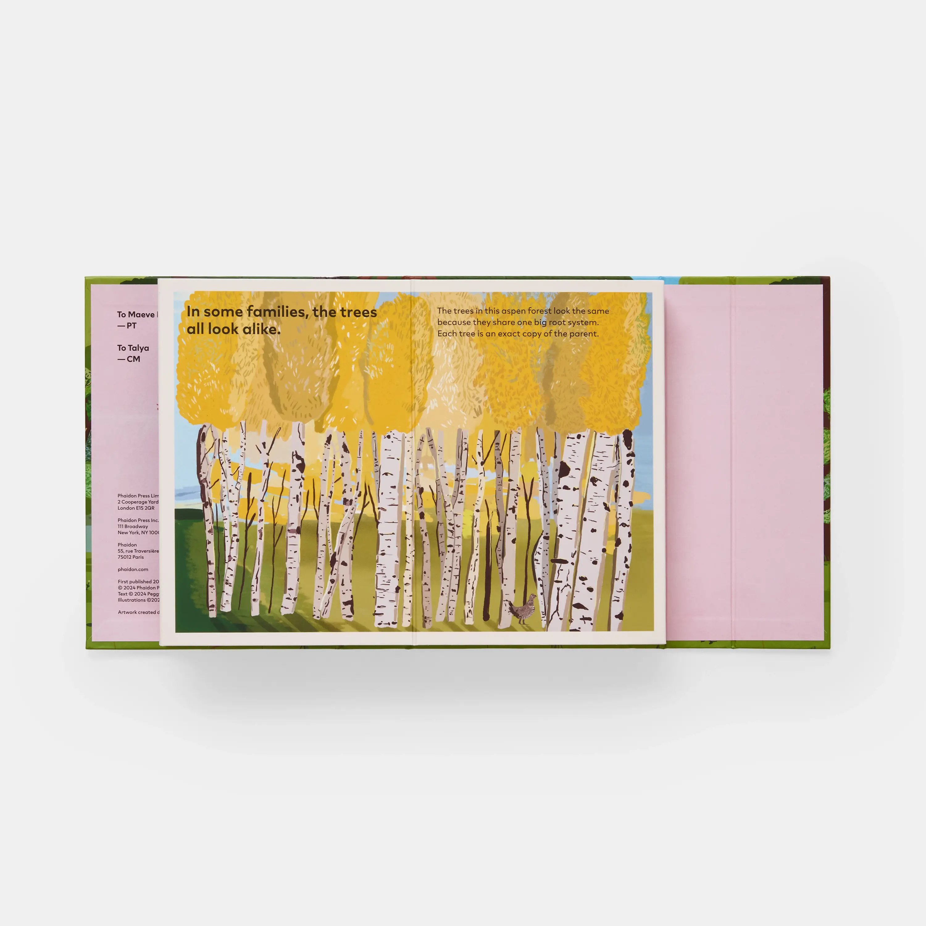 Phaidon Press - Vente Livre pour enfants de maternelle (de 3 à 5 ans) - Une famille d'arbres : mon premier livre sur les forêts3