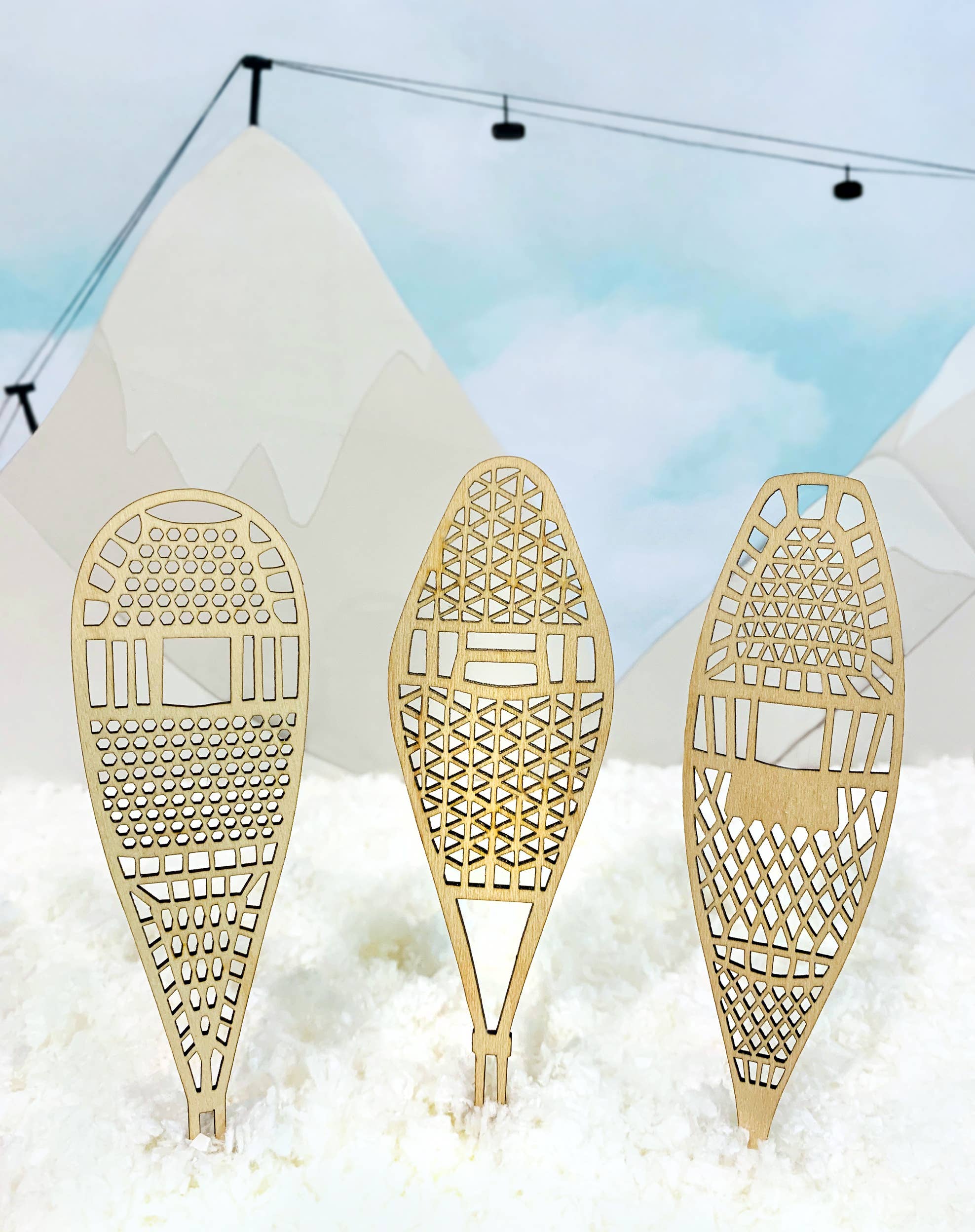 REMOVED BRAND - Wholesale Ornament Set - Snowshoes3