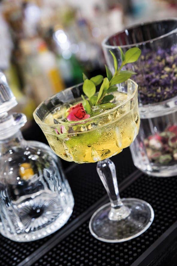 RCR Cristalleria - Wholesale Cocktail/Liquor Glass - Champagne coupe 24 Cl Opera1