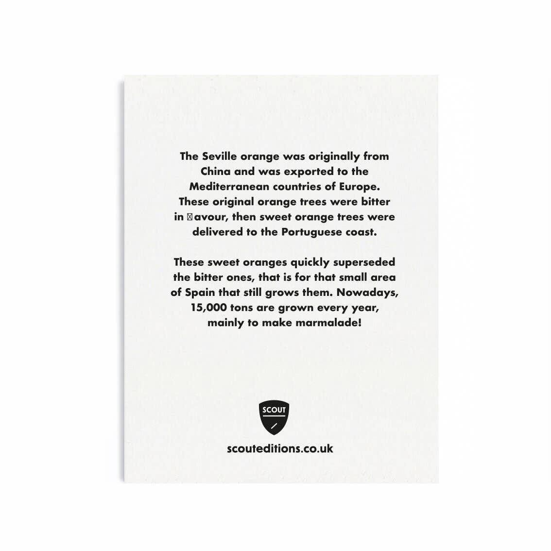 Scout Editions - Wholesale Everyday Greeting Card - Seville Oranges Mini Card1