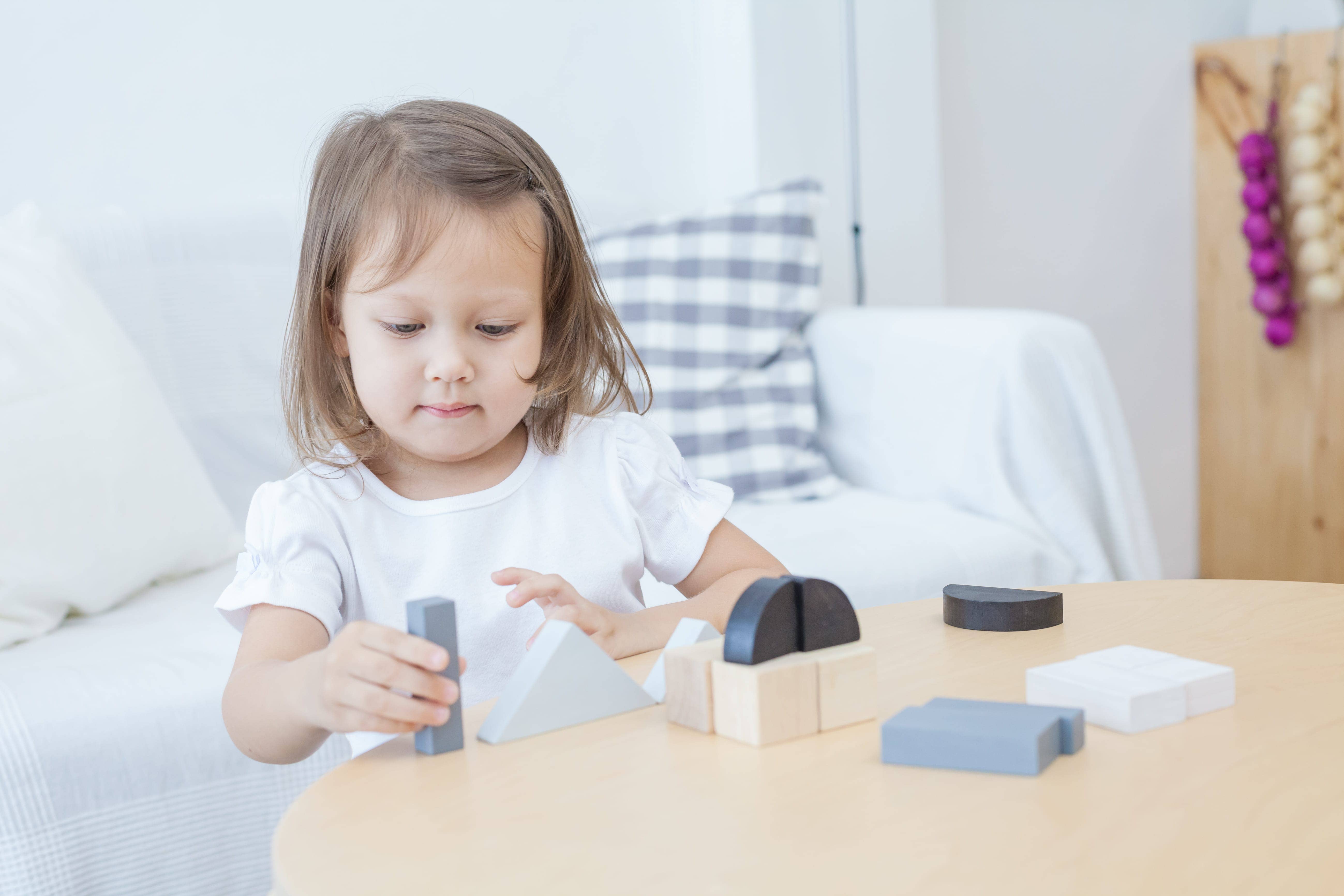 PlanToys - Wholesale Blocks - Kids Baby - Fraction Blocks3