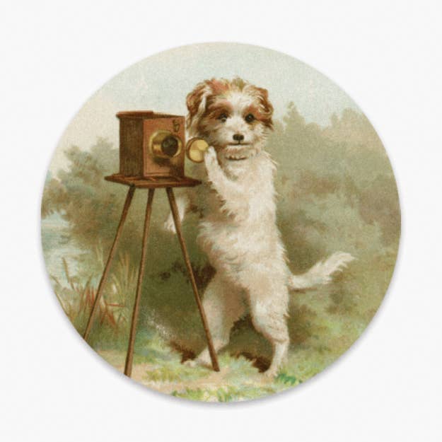 Mitzi • Sticker • Vintage Photographer Dog for wholesale by The Digital Chromist