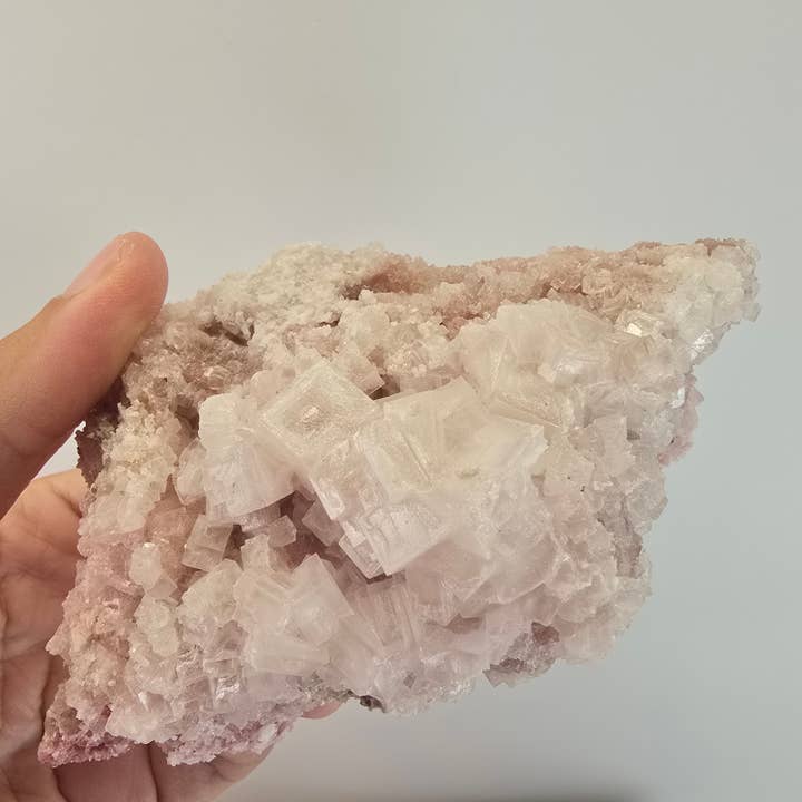 Aquamarine Daydream Wholesale - Wholesale Spiritual Stone/Crystal - 6pc Pink Halite ~ Bulk Mineral Flats ~ Crystal Specimens #57