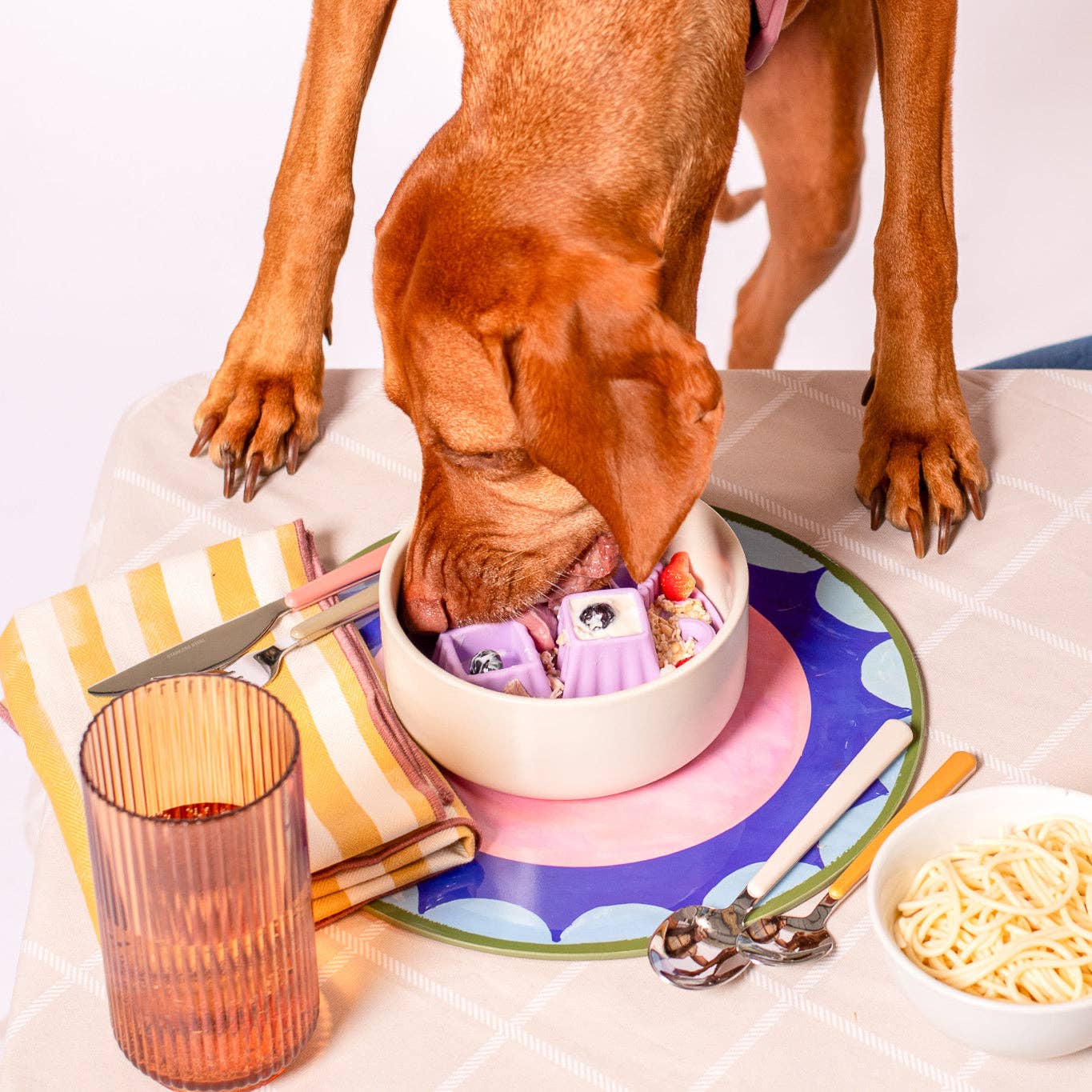 Awoo - Wholesale Pet Food Mat - Dog - Snackaroni Slow Feeder Insert & Lick Mat8