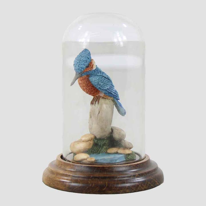 Kingfisher In Glass Dome By Country Artists for wholesale by Grays 1922