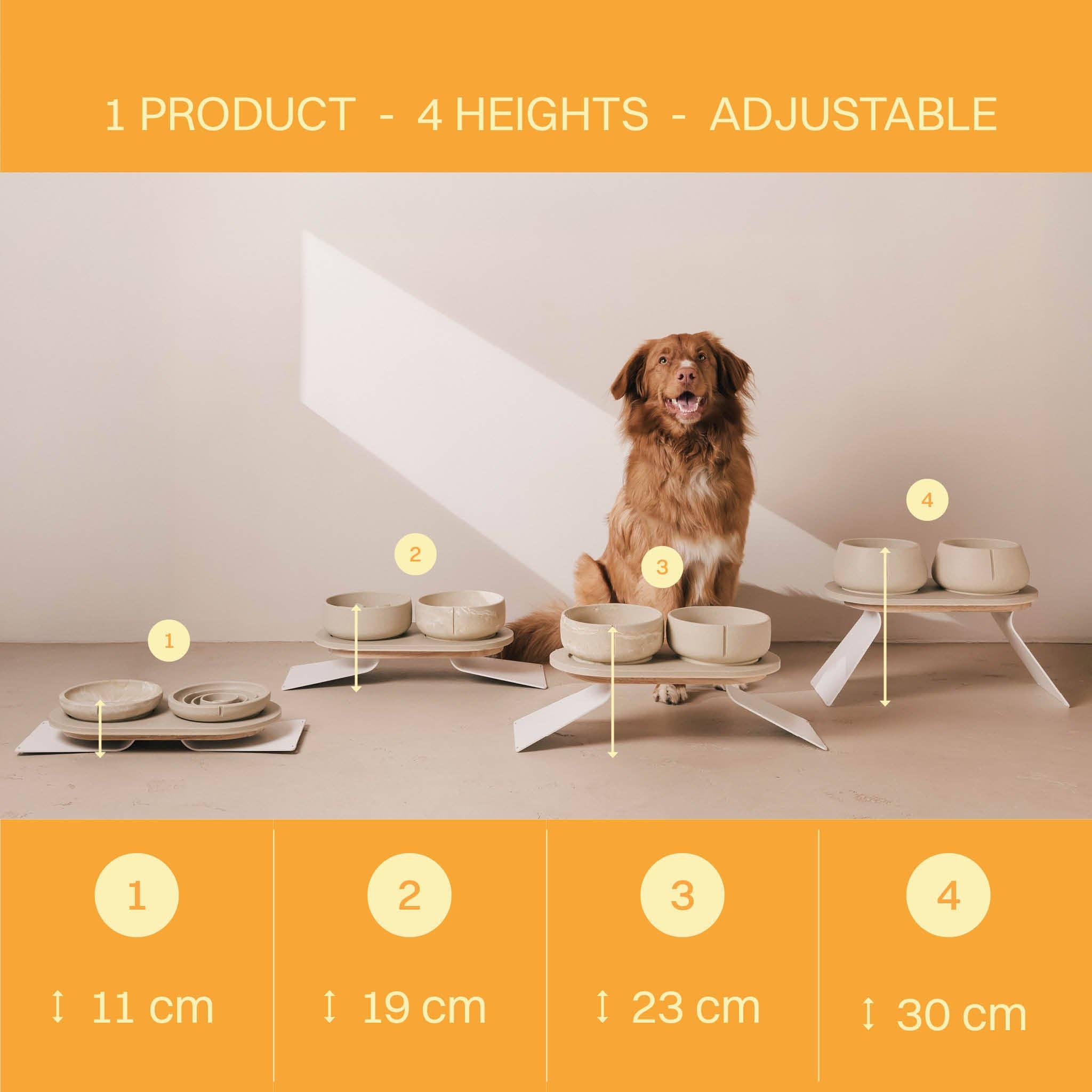 PINO – wholesale Pet elevated bowl – Cat/Dog – Raised Tray Set1