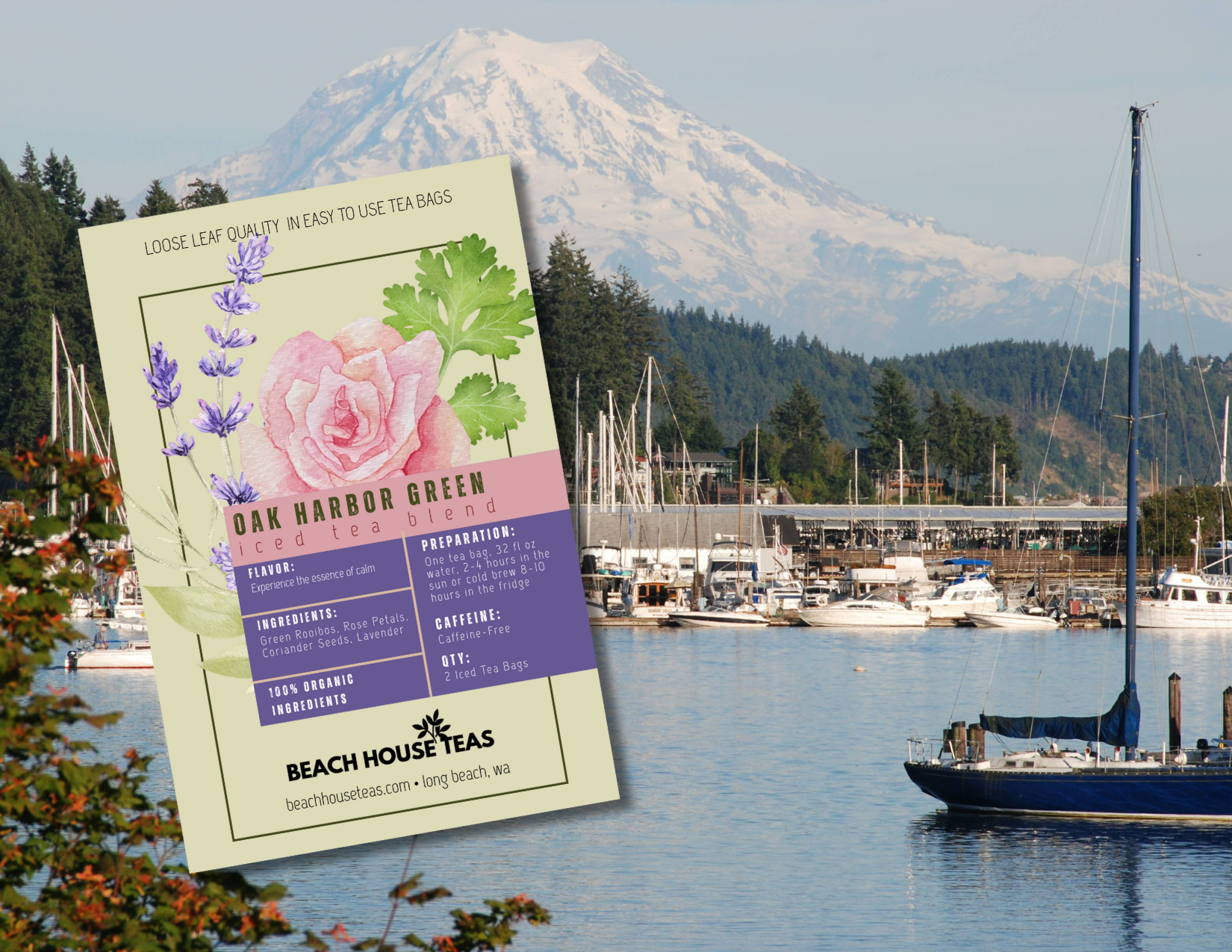 Beach House Teas - Venta al por mayor Té helado - Paquetes de Té Helado para Llevar16