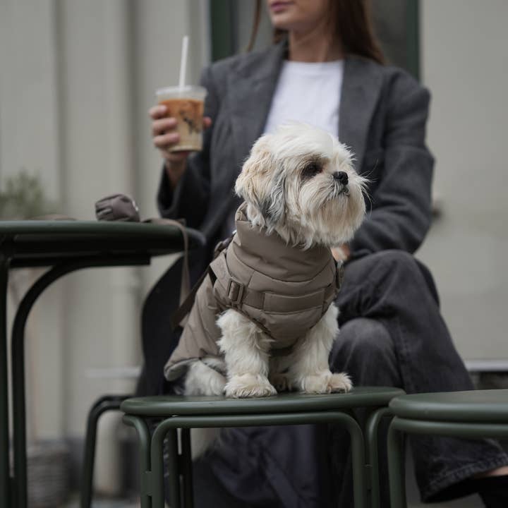 Staey - Wholesale Pet Coat - Dog - Vera Dog Coat with Harness | Sage7