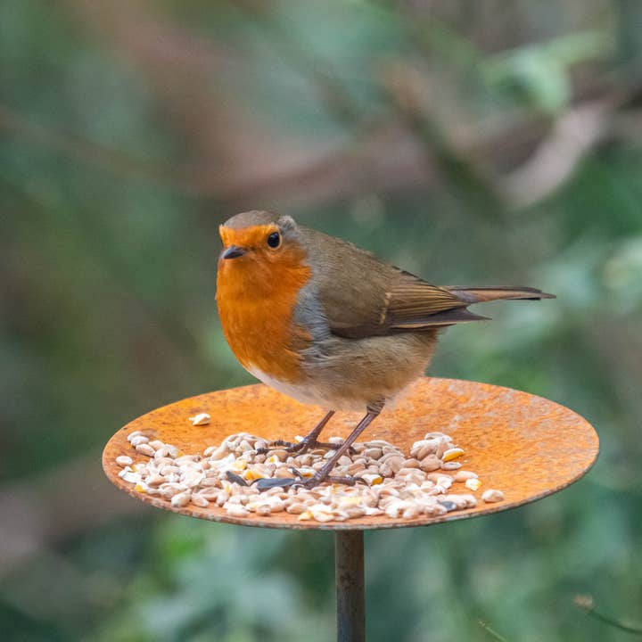 Savage Works – wholesale Bird feeder – Bird Feeder Platform