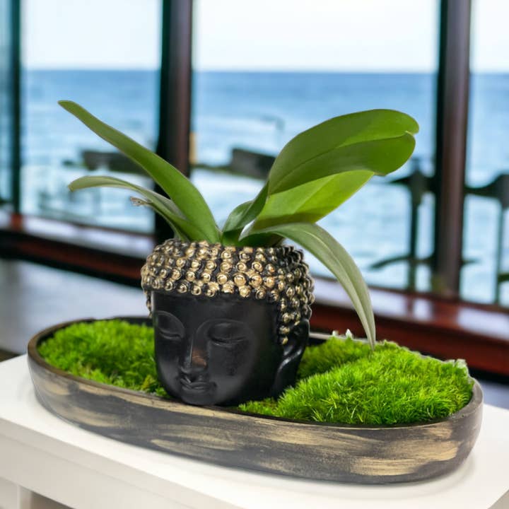 Planters Made in the USA - Wholesale Decorative Tabletop Object - Moss Table Centerpiece Decor Preserved Plant, Forever Green12