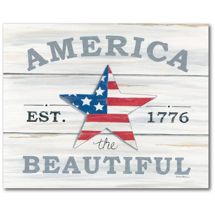 America the Beautiful Star Gallery - Wrapped Canvas Wall Art for wholesale by Courtside Market
